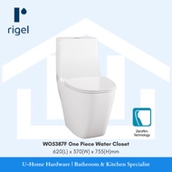 RIGEL Zerorim One-piece Toilet Bowl WO5387F Impression