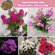 [Fast Growing] 300pcs Color Mixing Lagerstroemia Flower Seeds for Planting Bonzai Seeds Benih Pokok 
