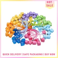 Home Organizers 10 Pcs Baby Tooth Keepsake Box Tooth Saver Box Necklace Saver Box<LK>