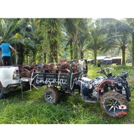 in stock Atv for Farm ATV untuk kebun ATV 125cc 150cc 200cc ATV Kebun ATV motor