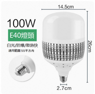 DDS - LED節能燈泡（白光 100W大功率E40螺口）#N249_ 005_ 219