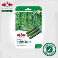 70Biji BENIH Timun Batang Jumbo Green F1 Hybrid / Benih Timun Batang / East West Seed / Cap Panah Me
