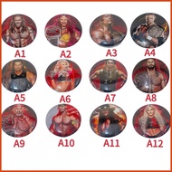WWE Figure Wrestler Doll Badge Real Size Wear WWE Scene Accessories