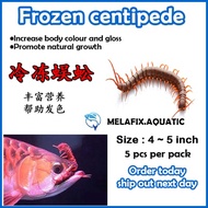 Frozen Centipede Arowana Fish Food/lipan beku/ 1 Pcs per Pack Lipan Untuk Arowana 真空冷冻蜈蚣/金/红/银龙鱼食物[R