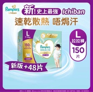 Pampers 拉拉褲 pampers ichiban L 大碼