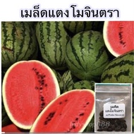 เมล็ดแตงโมพันธุ์จินตรา ราคา 15 บาท