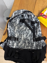 Gregory 白色 白花 white 33L