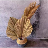 Decorative palm leaves decor