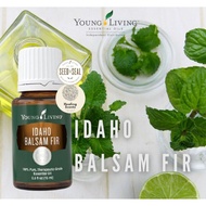 Young Living Idaho Balsam Fir Essential Oil Singles 15ml