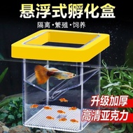 鱼缸孔雀鱼繁殖隔离盒孵化盒幼鱼躲避屋刚出生鱼苗亚克力高清透明Fish tank peacock fish breeding isolation box hatching box juvenile fi