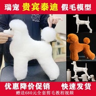 Rui Pet Pet Grooming Practice Teddy Poodle Fake Hair Model Fake Dog Hair Piece Fake Hair Fake Back H