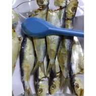 ikan Tamban masin,ikan Tamban masam ikan Tamban kering ikan kering