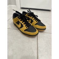 Nike SB Dunk Iowa's