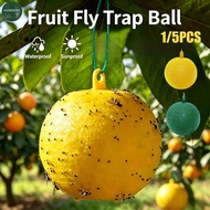 Fruit Fly Trap Balls Sticky Indoor Outdoor Safe Non-toxic Kitchen Insect Killer for Flies Gnats Midg