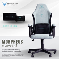 🦅(͢I͢N͢ ͢S͢T͢O͢C͢K͢S͢)͢ Black Hawk Morpheus Gaming Chair / Gaming Chair / Computer Chair (E-Sports Chair)