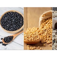 Black / white soy bean seed biji kacang taugeh hitam soybean kacang soya (Glycine max)