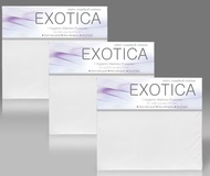 EXOTICA ผ้ารองฟูกกันไรฝุ่น ผ้าฝ้าย 100% ทอแน่นด้วยเส้นด้ายละเอียด ขนาด 6 ฟุต / 5 ฟุต / 3.5 ฟุต