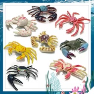 Set of 8 fake Crab toys for children, model of 8 cute mini Natural Crabs, sea animal toys
