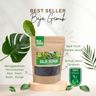 Baja Gemuk Baja Lebat Organik Original Sayuran Bunga Buah Pokok Hiasan Tanpa Tinja Haiwan