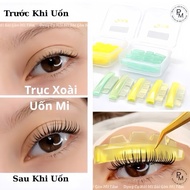 Genuine gladys eyelash curler Set type 1, 3D 6D eyelash curler Set _ Eyelash extension tools _ Mi Ta