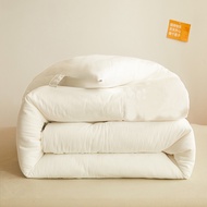 Duvet quilt white insert filling single/queen/king bed comforter selimut 被子 被芯