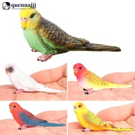 QUENNA Realistic Tiger Skin Parrot Model Educational Wildlife Bird Figurine for Kids Durable Desktop