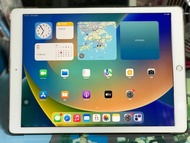 Apple iPad Pro 12.9吋2017（第2代）Wi-Fi版256gb行貨（金色）連全新Case + Mon貼