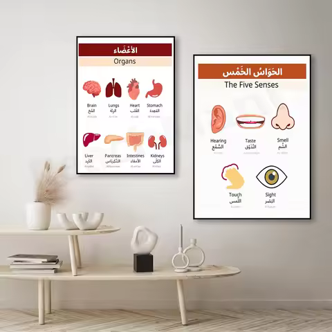 Human Anatomy Education, Body Organs, Five Senses Worksheet, Printable Busy Book, Human Body, Poster