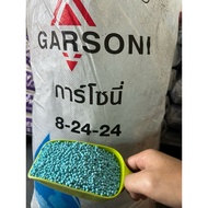 1kg Baja Buah & Akar Garsoni NPK 8-24-24