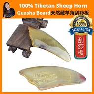 iMust Natural Tibetan Goat Horn Gua Sa Guasha Tanduk Biri-biri Tibet 天然藏羊角刮痧板