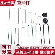 Fixed Nails Turf Foreign Nails V Iron Nails Stainless Steel Fence Floor Nails Curved Nails Shaped Na
