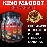 King maggot RED pakan ikan channa variant 20 gram pakan predator oscar arwana