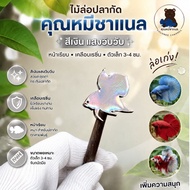 Betta Fish Lure "Wild Silver Color Sparkling "Chanel Bear Mahachai Wild Small Size 3-4 Cm. Estimated