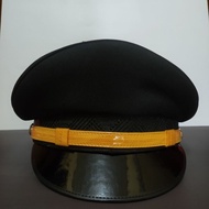 VBAR Pet Hat / Plain Pet Hat / Transportation Pet Hat / Prosecutor's Pet Hat / Police Pet Hat / TNI 