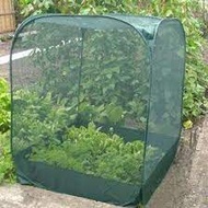 DRYNET - Garden Net - 5meters x 8 feet