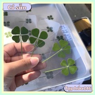 [AVAILABLE] plastic laminated four-leaf clover - Lucky 4-leaf clover
