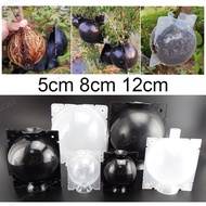 5pcs 5/8/12cm High Pressure Plant Root Growing Box Plant Root Ball Breeding Case for Garden Grafting