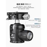 Laitu/Leofoto NB-34Ptz 34Millimeter Sphere Yajia Specification Double Panoramic Free Damping Adjustm