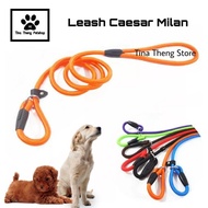 Best Quality~ Cesar Milan Dog Leash Slip Lead Dog Leash - Blue