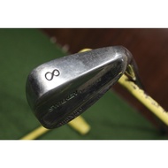 Golf Iron Stick No. 8 Maxpro Swilkens