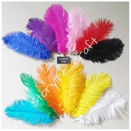 KASUARI FEATHER 20-25cm DECORATION FEATHER/ OSTRICH/