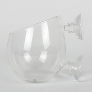 [peqqxhy] Aquarium Plant Cup Hanging Accessory Transparent Glass Plant Stand Mini