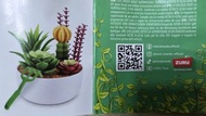 Mini Brands create Garden