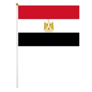 10Pcs Flag of Egypt Flags of the World Party Decoration