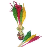 Bunga jagung kering / dried flower / kembang kering
