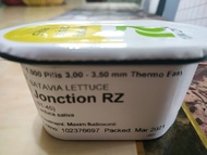 RIJK ZWAAN Jonction RZ Batavia Lettuce Seeds  Repacked 100 Pills 100 percent germination