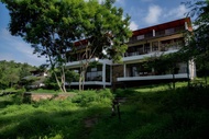Dhole's Den