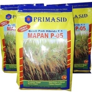 Jual Benih Bibit Padi Pari Mapan 05 Hibrida P05 ASLI Diskon