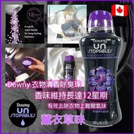 🇨🇦 Downy Unstopables薰衣草味衣物清香除臭劑 1.06kg