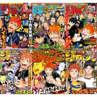 Set of 6 Posters - Haikyuu Anime Poster!! King of Volleyball (2) (peel-off) - A3, A4, A5